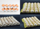 반 자동적인 계란 쟁반 제조 기계는 쉬운 보장 2 년 설치합니다